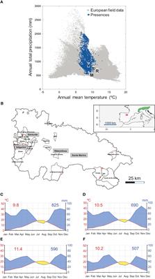 Growth data of outlying plantations allows benchmarking the tolerance to climate extremes and drought stress in the European larch